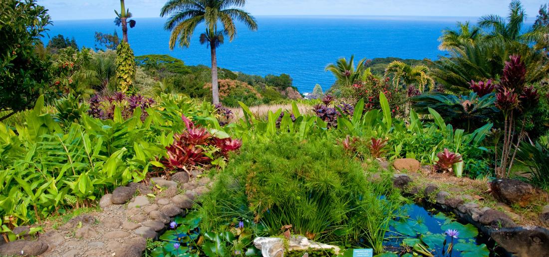 Garden of Eden