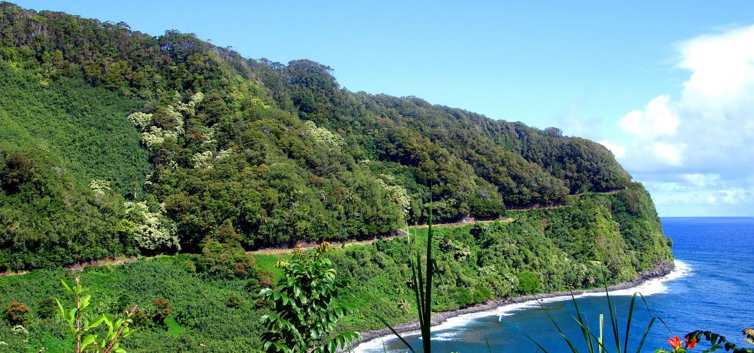 Hana Highway Coastal Curves