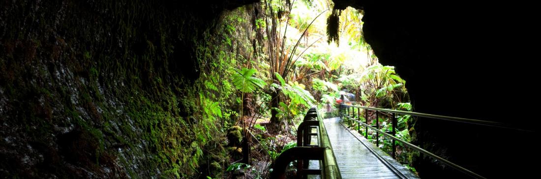 Lava Tube on Hawaii