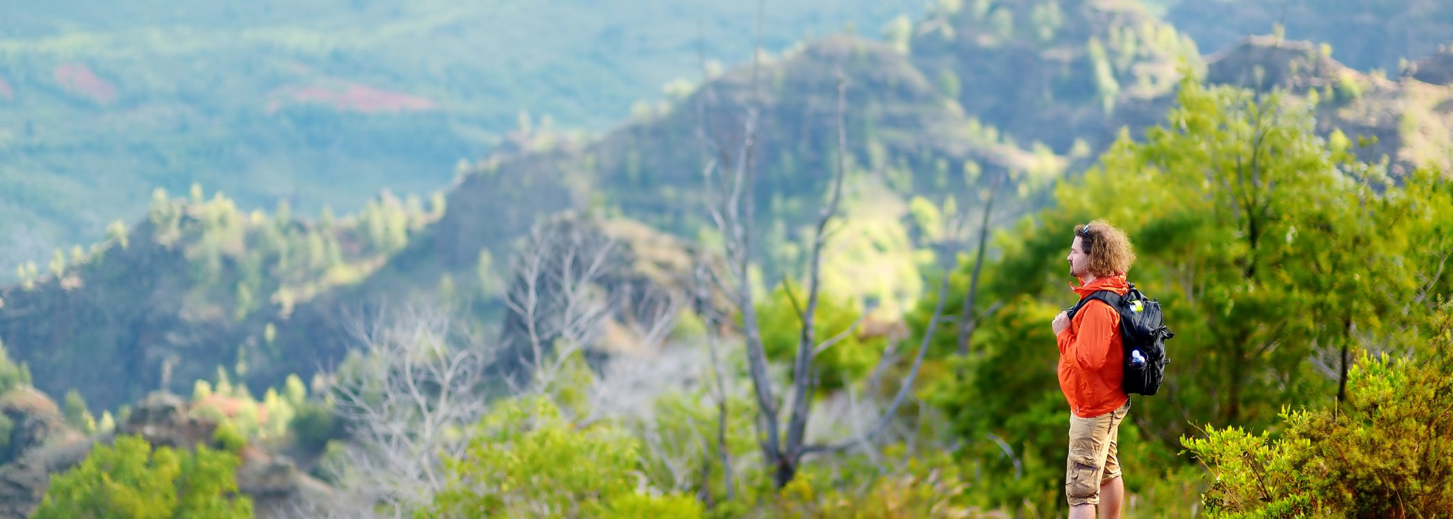 online Nutrient Regulation