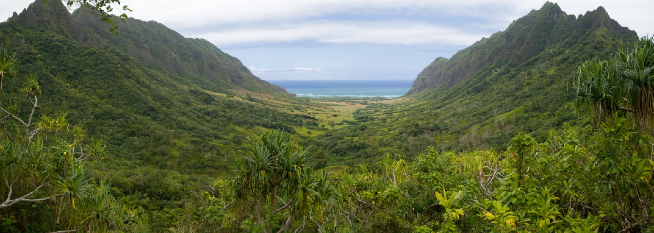 Oahu Attractions