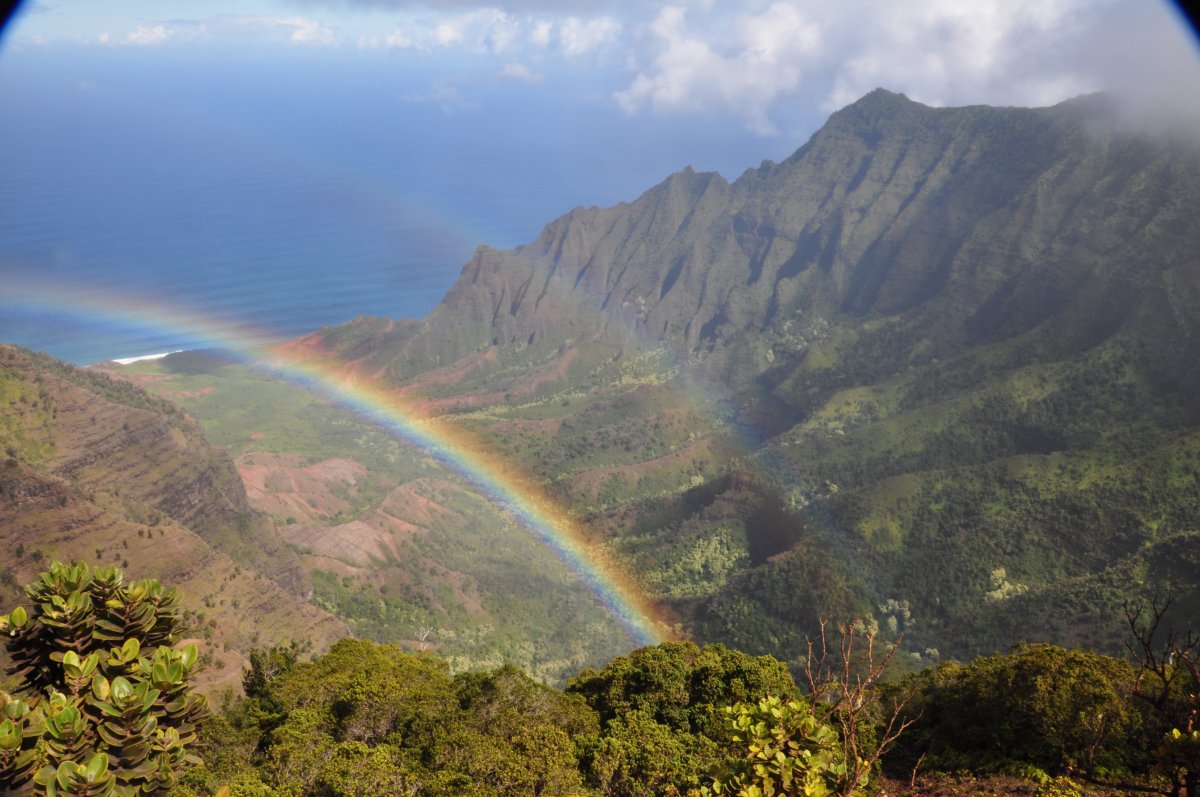 Download Kauai Weather