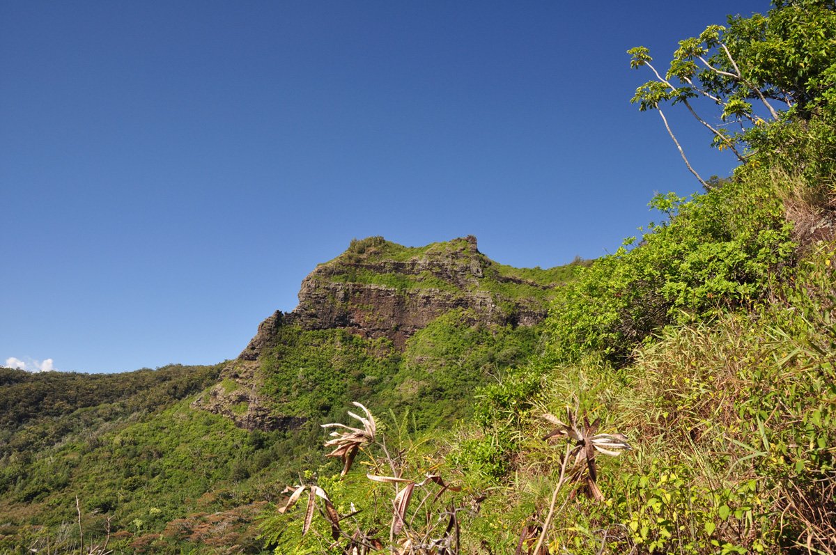 Sleeping Giant Nounou East Trail Kauai Hawaii